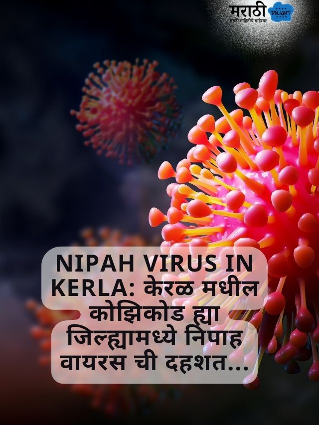 nipah virus in kerla