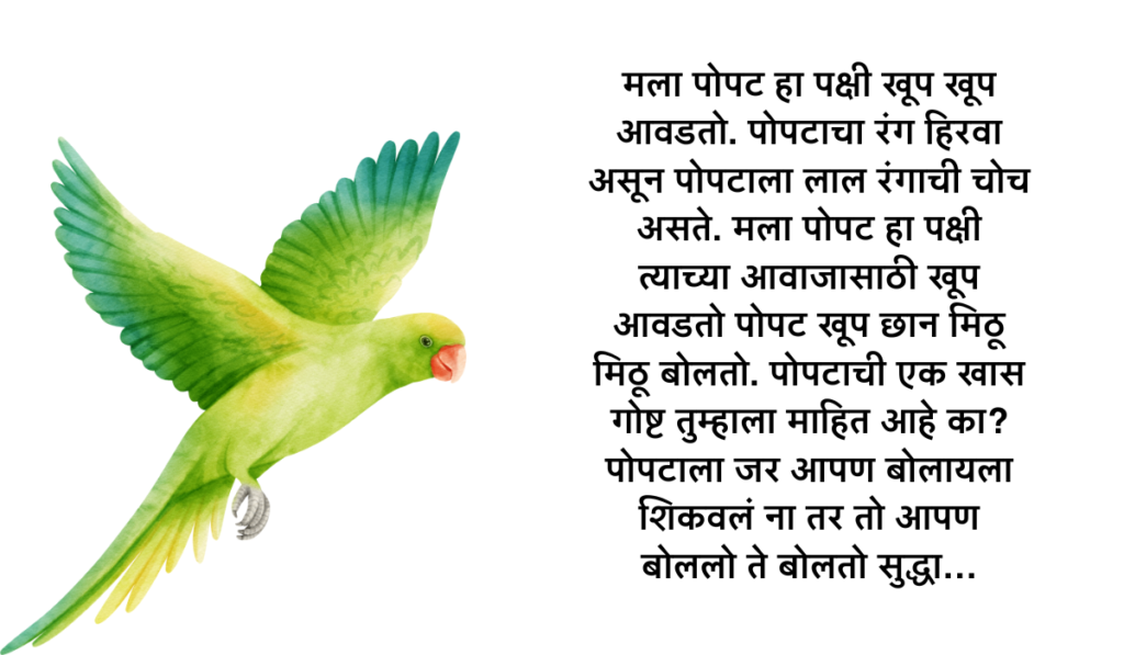 माझा आवडता पक्षी पोपट निबंध मराठी | maza avadta pakshi popat nibandh in marathi
