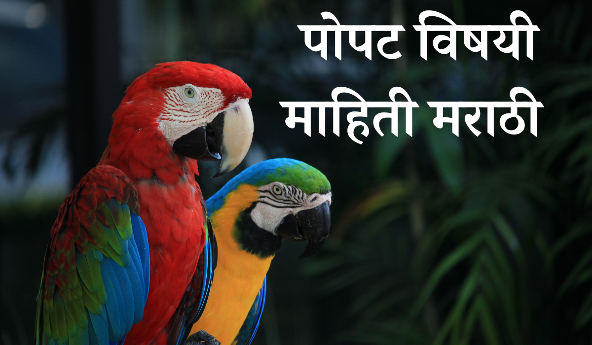 parrot information in marathi